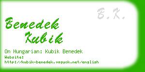 benedek kubik business card